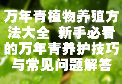 万年青植物养殖方法大全 新手必看的万年青养护技巧与常见问题解答
