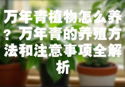 万年青植物怎么养？万年青的养殖方法和注意事项全解析