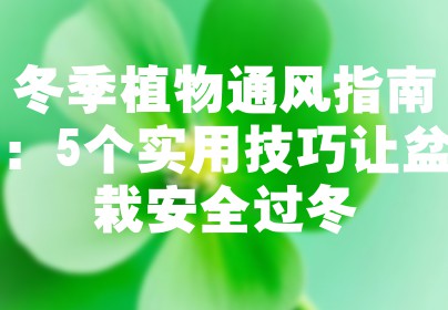 冬季植物通风指南：5个实用技巧让盆栽安全过冬