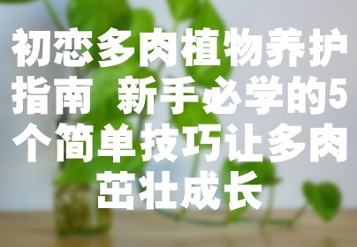 初恋多肉植物养护指南 新手必学的5个简单技巧让多肉茁壮成长