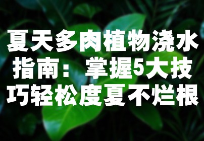 夏天多肉植物浇水指南：掌握5大技巧轻松度夏不烂根