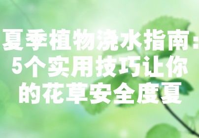 夏季植物浇水指南：5个实用技巧让你的花草安全度夏