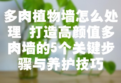 多肉植物墙怎么处理 打造高颜值多肉墙的5个关键步骤与养护技巧