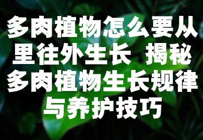 多肉植物怎么要从里往外生长 揭秘多肉植物生长规律与养护技巧