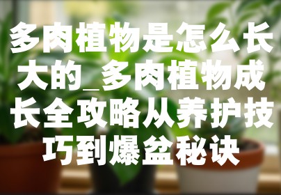 多肉植物是怎么长大的_多肉植物成长全攻略从养护技巧到爆盆秘诀