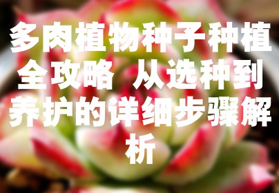 多肉植物种子种植全攻略 从选种到养护的详细步骤解析