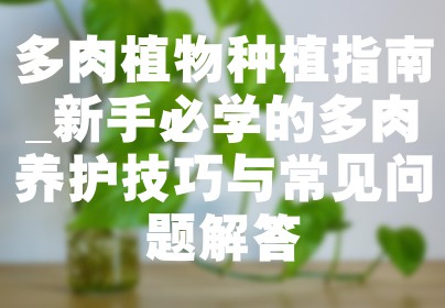 多肉植物种植指南_新手必学的多肉养护技巧与常见问题解答