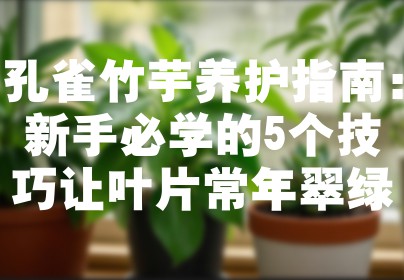 孔雀竹芋养护指南：新手必学的5个技巧让叶片常年翠绿