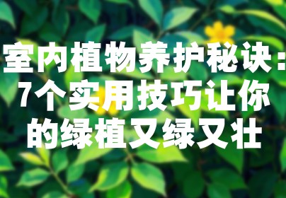 室内植物养护秘诀：7个实用技巧让你的绿植又绿又壮