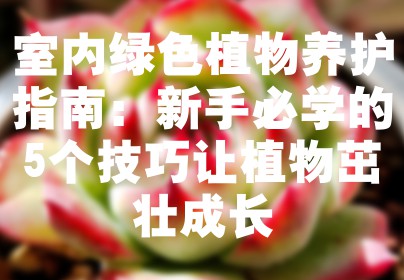 室内绿色植物养护指南：新手必学的5个技巧让植物茁壮成长