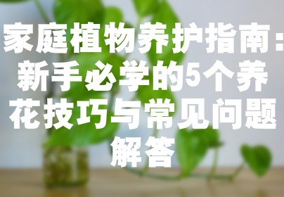 家庭植物养护指南：新手必学的5个养花技巧与常见问题解答