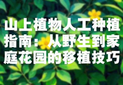 山上植物人工种植指南：从野生到家庭花园的移植技巧