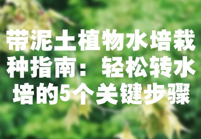 带泥土植物水培栽种指南：轻松转水培的5个关键步骤