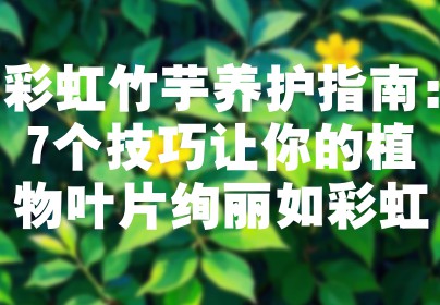 彩虹竹芋养护指南：7个技巧让你的植物叶片绚丽如彩虹