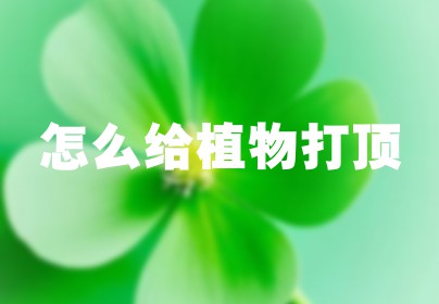 怎么给植物打顶
