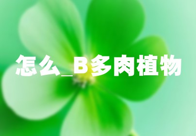 怎么_B多肉植物