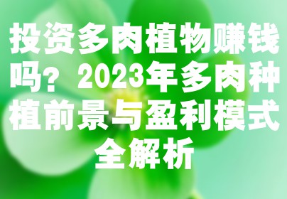 投资多肉植物赚钱吗？2023年多肉种植前景与盈利模式全解析