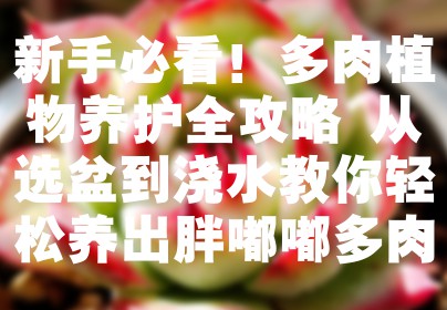 新手必看！多肉植物养护全攻略 从选盆到浇水教你轻松养出胖嘟嘟多肉