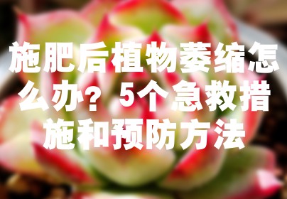 施肥后植物萎缩怎么办？5个急救措施和预防方法