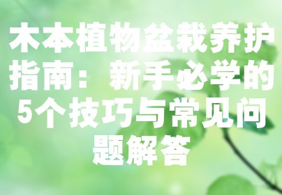 木本植物盆栽养护指南：新手必学的5个技巧与常见问题解答