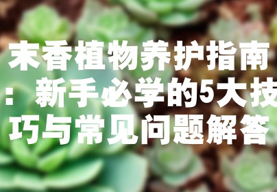 末香植物养护指南：新手必学的5大技巧与常见问题解答