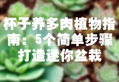 杯子养多肉植物指南：5个简单步骤打造迷你盆栽