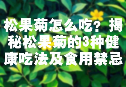 松果菊怎么吃？揭秘松果菊的3种健康吃法及食用禁忌