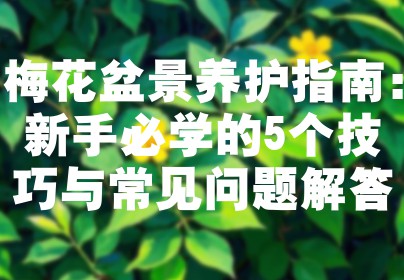 梅花盆景养护指南：新手必学的5个技巧与常见问题解答