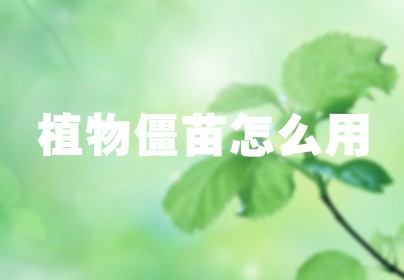 植物僵苗怎么用