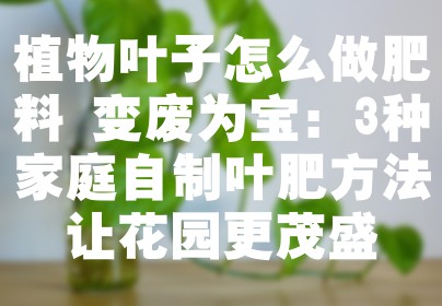 植物叶子怎么做肥料 变废为宝：3种家庭自制叶肥方法让花园更茂盛