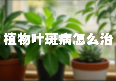 植物叶斑病怎么治