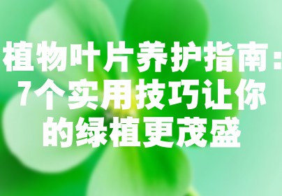 植物叶片养护指南：7个实用技巧让你的绿植更茂盛