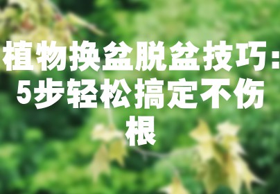 植物换盆脱盆技巧：5步轻松搞定不伤根