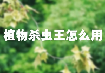 植物杀虫王怎么用