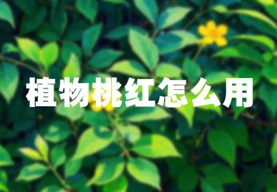 植物桃红怎么用
