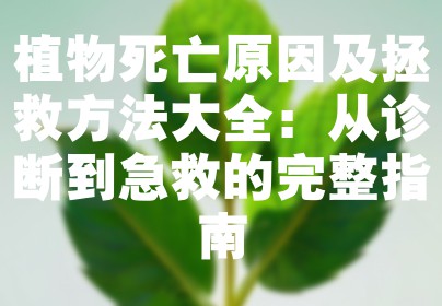 植物死亡原因及拯救方法大全：从诊断到急救的完整指南