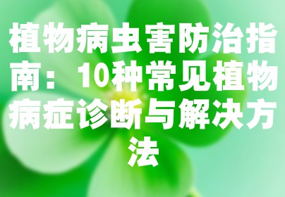 植物病虫害防治指南：10种常见植物病症诊断与解决方法