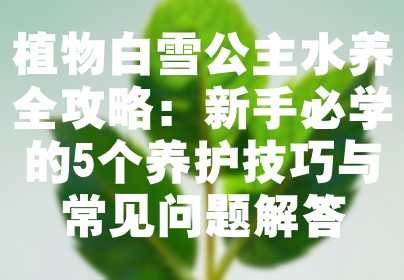 植物白雪公主水养全攻略：新手必学的5个养护技巧与常见问题解答