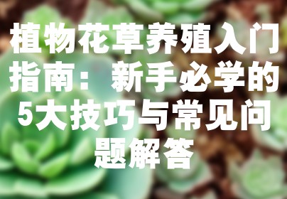 植物花草养殖入门指南：新手必学的5大技巧与常见问题解答