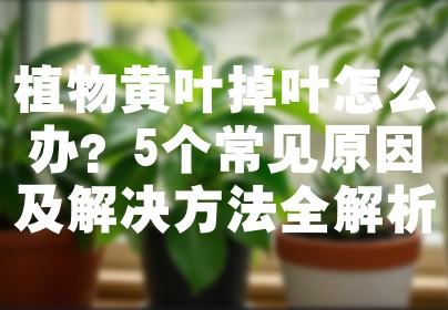 植物黄叶掉叶怎么办？5个常见原因及解决方法全解析