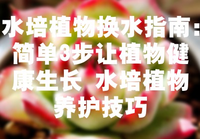 水培植物换水指南：简单3步让植物健康生长 水培植物养护技巧