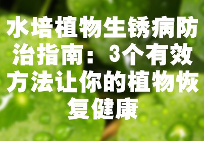 水培植物生锈病防治指南：3个有效方法让你的植物恢复健康