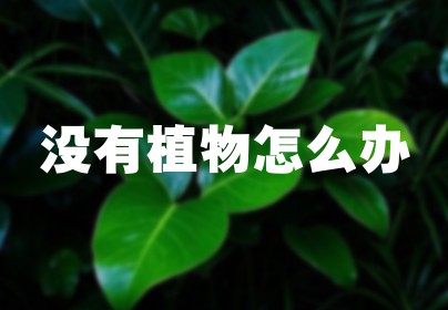 没有植物怎么办