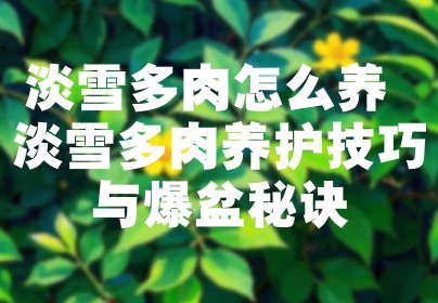 淡雪多肉怎么养 淡雪多肉养护技巧与爆盆秘诀