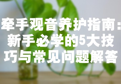 牵手观音养护指南：新手必学的5大技巧与常见问题解答
