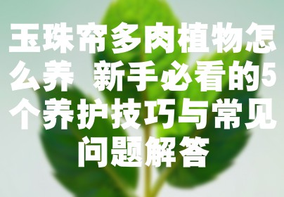 玉珠帘多肉植物怎么养 新手必看的5个养护技巧与常见问题解答