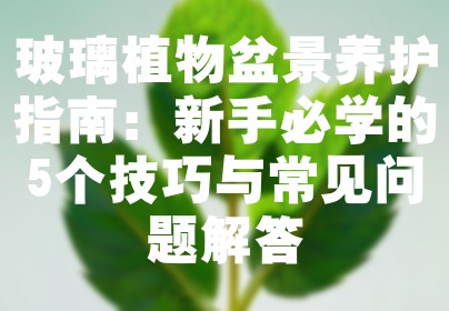 玻璃植物盆景养护指南：新手必学的5个技巧与常见问题解答