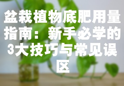 盆栽植物底肥用量指南：新手必学的3大技巧与常见误区