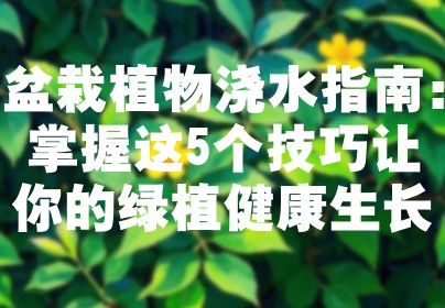 盆栽植物浇水指南：掌握这5个技巧让你的绿植健康生长