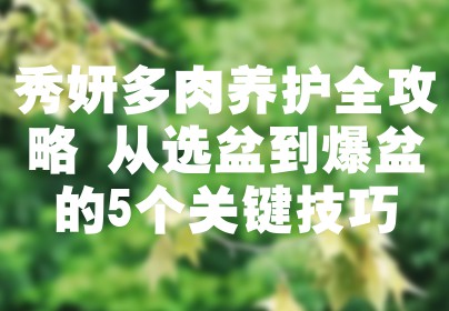 秀妍多肉养护全攻略 从选盆到爆盆的5个关键技巧